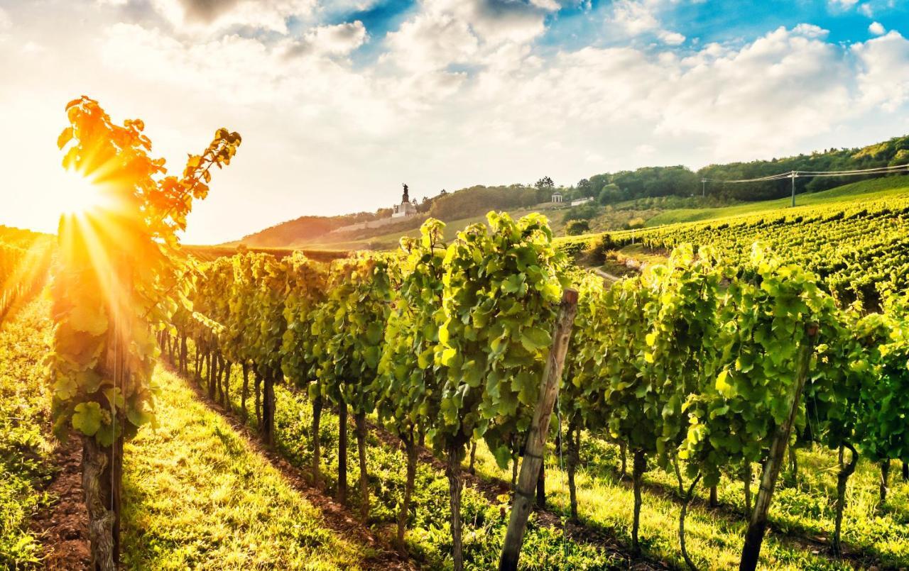 Fewo Zum Malerwinkel - Ruedesheim Rüdesheim nad Renem Zewnętrze zdjęcie